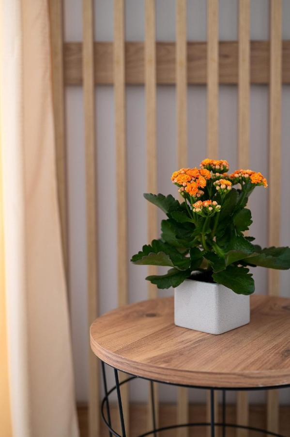 Amersa Luxury Apartment Iraklio