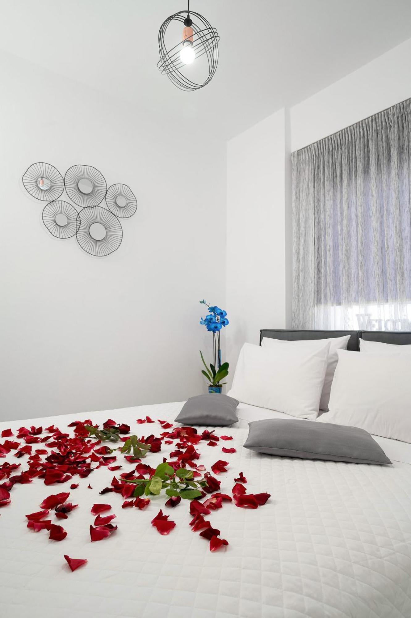 Apartment Amersa Luxury *